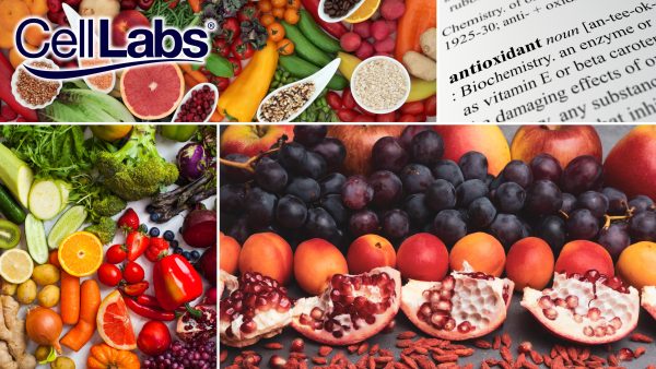 A collage of different fruits and vegetables that are sources of antioxidants.