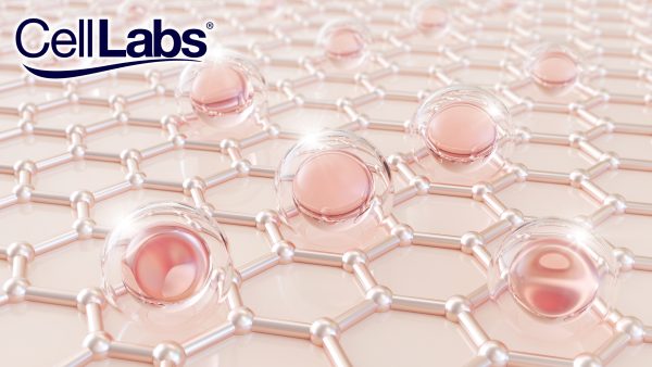 Image of skin cells and collagen being absorbed into it as banner for blog on why you need collagen.