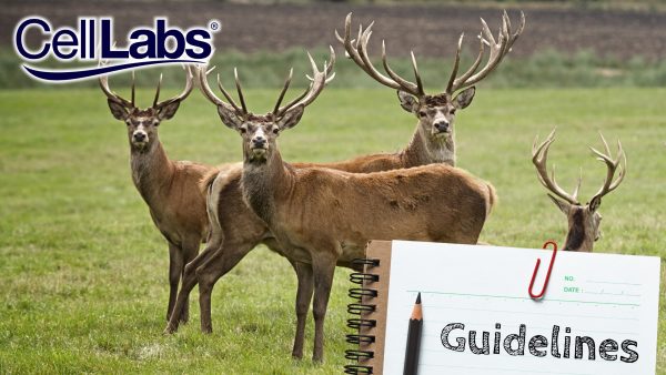 Image of deers grazing a field and a notebook with pencil written with a text saying guidelines.