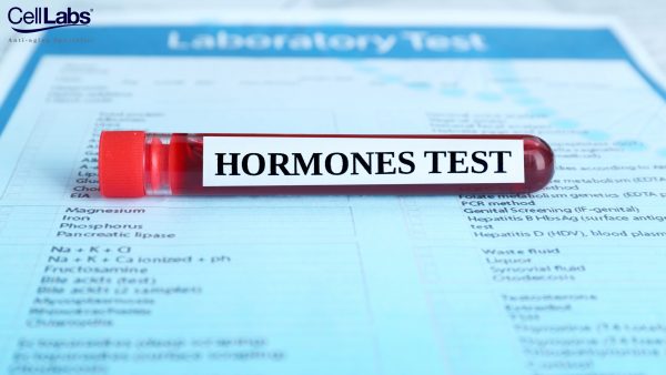Image of a test tube with blood for hormone test.