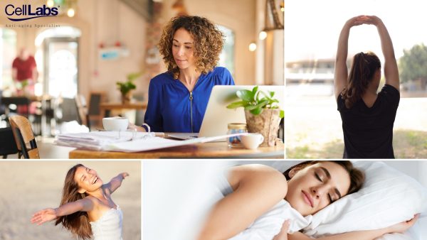 Collage of woman working, stretching, smiling, and sleeping as a banner for other uses of sheep placenta.